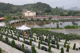 可高达上百万！墓地价格越来越贵，还买得起吗？图片