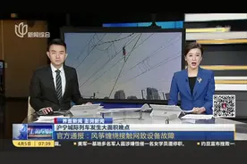 沪宁城际列车发生大面积晚点：官方通报——风筝缠绕接触网致设备故障视频封面