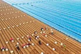 我国农机与欧美日有近30年差距，短板不补，粮食安全有患图片