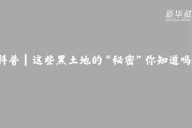 科普｜这些黑土地的“秘密”你知道吗？视频封面