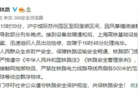 昨天下午，风筝缠绕高铁设备导致沪宁城际铁路晚点1小时以上，经紧急抢修已恢复图片