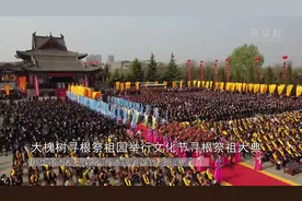 大槐树寻根祭祖园举行文化节寻根祭祖大典视频封面