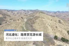 河北遵化：踏青赏花游长城视频封面