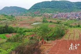 包山头、守路口，连州星子镇村干部全员在岗守护平安清明图片