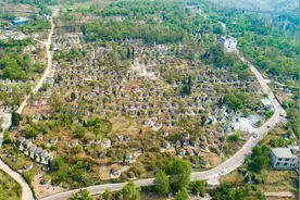 快评丨豪华墓、活人墓顶风违建，不能只看到观念因素图片