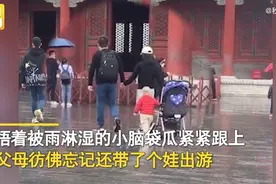 爸妈牵手游故宫，留萌娃自己推婴儿车！网友：父母是真爱孩子是意外图片