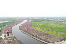 37秒｜济宁鱼台千亩堤岸桃花油菜花竞相盛开 美景醉人视频封面