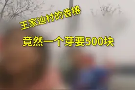 游客称采香椿被村民一个芽罚500元？最终赔260元，村支书回应了图片