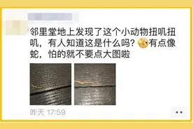 浙江一地惊现“怪蛇”：头形似斧头，雌雄同体；一查不得了……图片