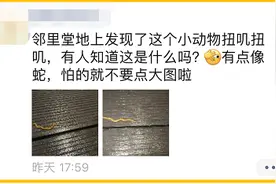 杭州此地惊现“怪蛇”！头形似斧头，还雌雄同体？一查不得了图片