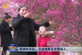 菏泽牡丹区：万亩海棠花开醉游人视频封面