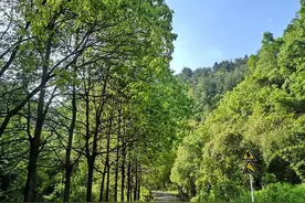 尝农家美食、赏田园风光…贵阳乡村踏青之旅，出游刚刚好图片