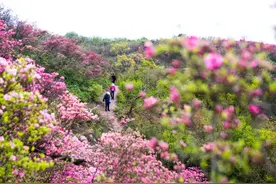 红、红、红~~~来奉化这个山头打卡啦！图片