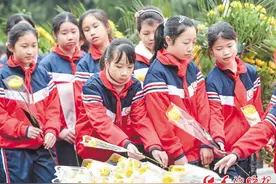 红色旅游点亮青春记忆图片