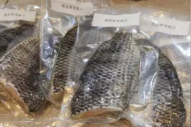 改名“海南鲷”出口转内销，海南罗非鱼能否游出一片天？图片