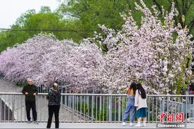 北京市民赴“海棠花溪”之约图片