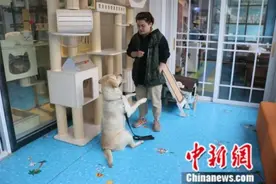 “宠物上学”兴起，“萌宠”在学校都学些什么？图片