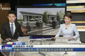 公益墓成为“牟利墓”：安徽农村公益性公墓违规建设非法经营乱象调查视频封面