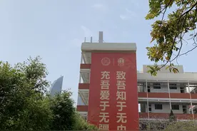 陆建德︱厦大的树图片