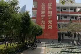 陆建德︱厦大的树图片