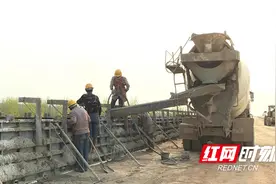 安乡：不负春光 项目建设如火如荼图片