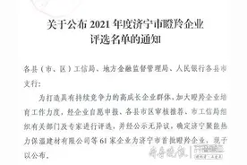 济宁市瞪羚企业评选名单出炉，61家企业在列图片