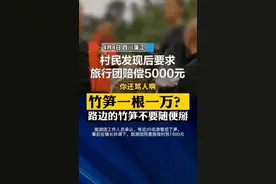 游客私挖当地村民竹笋被索赔事件后续：旅行团赔偿村民1500元图片