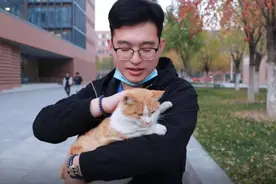 在南开，“看南门的喵”和护喵的人图片