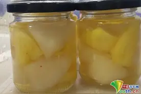 口水直流！高校上课做菠萝罐头，学生：那是真馋啊……图片
