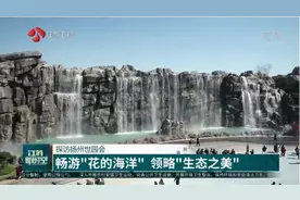 探访扬州世园会：畅游“花的海洋”，领略“生态之美”视频封面