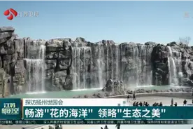 探访扬州世园会：畅游“花的海洋”，领略“生态之美”视频封面