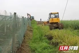 安乡：百亩虾田擅改鱼塘 执法部门依法强制复垦图片