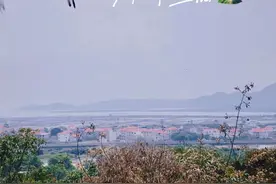 整理了我的三大筐空瓶，终于知道钱都花在哪里了图片