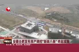 安徽合肥发布房产调控“新政八条”  昨起实施视频封面