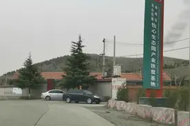 墓地暴利背后：农业生态园变身“公墓”，公益墓地藏百万豪华墓图片