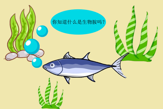小心水产品中的生物胺