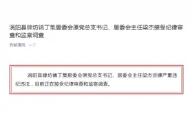 涡阳县牌坊镇丁集居委会原党总支书记、居委会主任梁杰被查图片