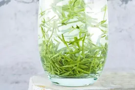 春季饮茶选哪种？喝对了缓解春困、提气润脾图片