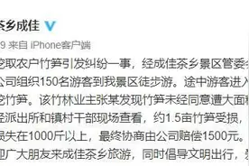 1根1万元？游客私挖竹笋遭村民索赔，当地回应，剧情大反转图片