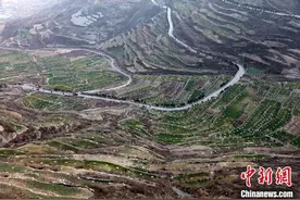 陇南渐破“难弄事”：由“靠山吃山”到“5G+智慧林业”图片
