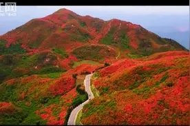 乘直升机空中赏万亩花海！大围山杜鹃花节4月20日启幕视频封面