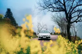 全新凯美瑞：科技升级+价值进化图片