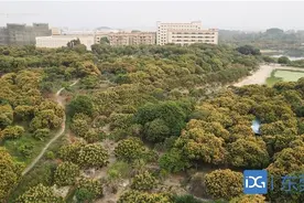 行摄东莞⑲▏追花逐蜜养蜂人图片