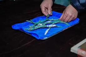 考古小百科｜拿文物一定要戴手套吗？图片