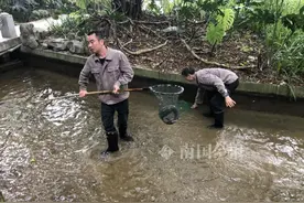 凶猛“恶鱼”来袭！蟠龙山公园惊现“不速之客”，管理员发布紧急提醒图片