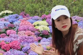 崇明花博丨树上的“绣球”和地上的一样吗？小姐姐有“花”说视频封面