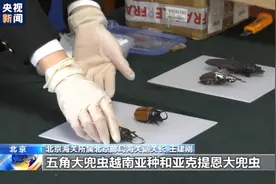 警告！这些都是你不该触碰的“另类宠物”图片