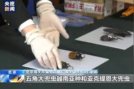 警告！这些都是你不该触碰的“另类宠物”图片