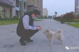 好想你，在武汉封城期间陪伴了我2个月... 现在，你在哪？图片