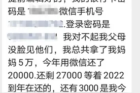 从24楼坠下图片
